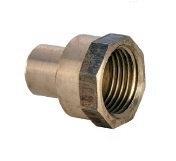 FIG.270 GCU RACOR BRONCE HEMBRA